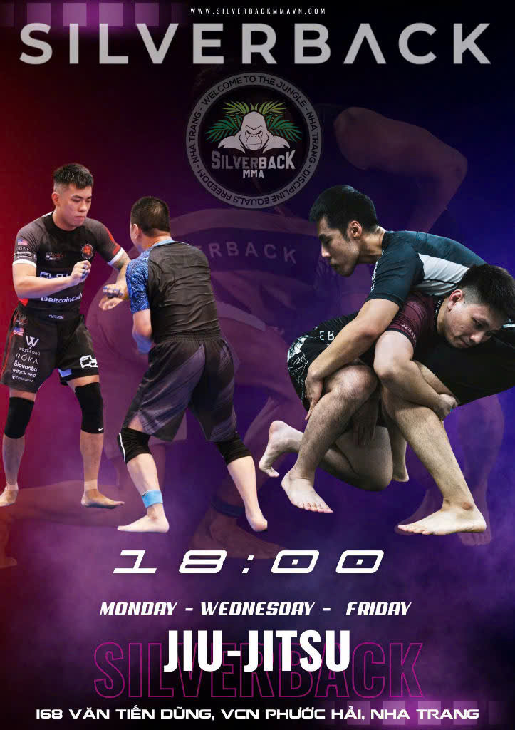 Brazilian Jiu Jitsu (BJJ)
